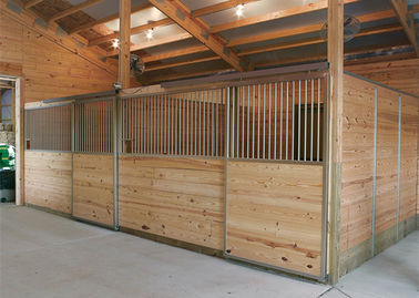 De grote Comités van de Paardbox voor Paardrijdencentrum Gegalvaniseerd Staal