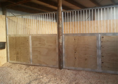 De Voorzijden van de het Paardbox van de douaneluxe voor Pool-Schuren Stevige/Geroosterde Verdeler