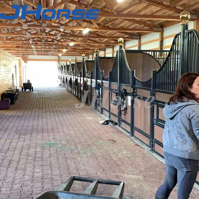 De hoge Bestand Paard Stabiele Comités Voorzijden van de Paardbox met Staalbuizen Meer Ventilatie