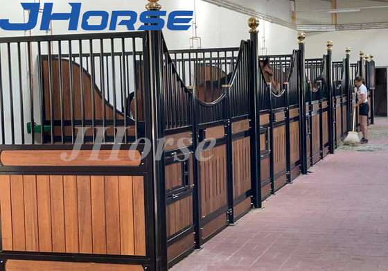14 de Box van het voetpaard ziet uit op Duurzaam Heet Ondergedompeld Gegalvaniseerd Bamboekader
