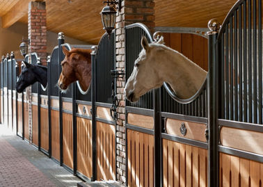 Het binnenlandse Stevige Achter Europese Paard blokkeert 12 Voet Lengte 220cm Hoogte