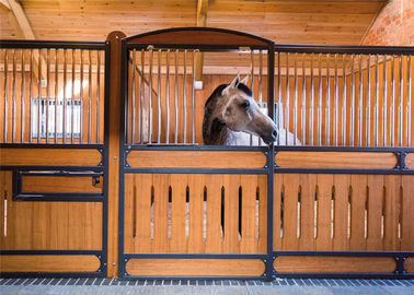 Commerciële 10ft 12ft Paard Stabiele Doos/Gegalvaniseerde Paardomheining